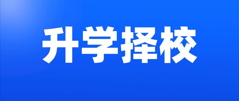 教育信息咨询:点亮孩子的学习之路